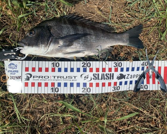 スウィングウォブラー四連発