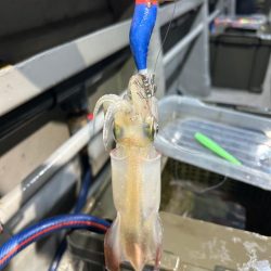 去年のリベンジは出来たかな