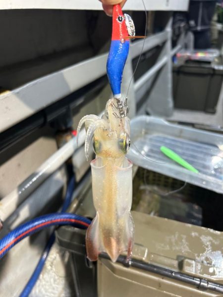 去年のリベンジは出来たかな