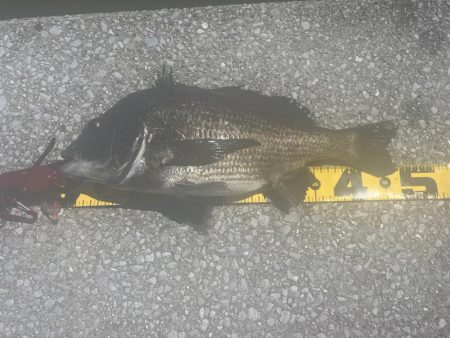 熱中症にはご注意を。