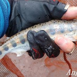 梅雨時の渇水は厳しい