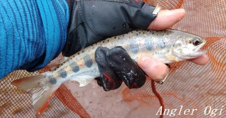梅雨時の渇水は厳しい