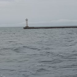 雨上がりの強行釣り日誌
