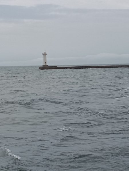 雨上がりの強行釣り日誌