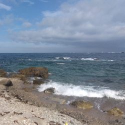 初ヒラスズキ!!