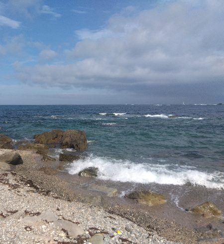 初ヒラスズキ!!