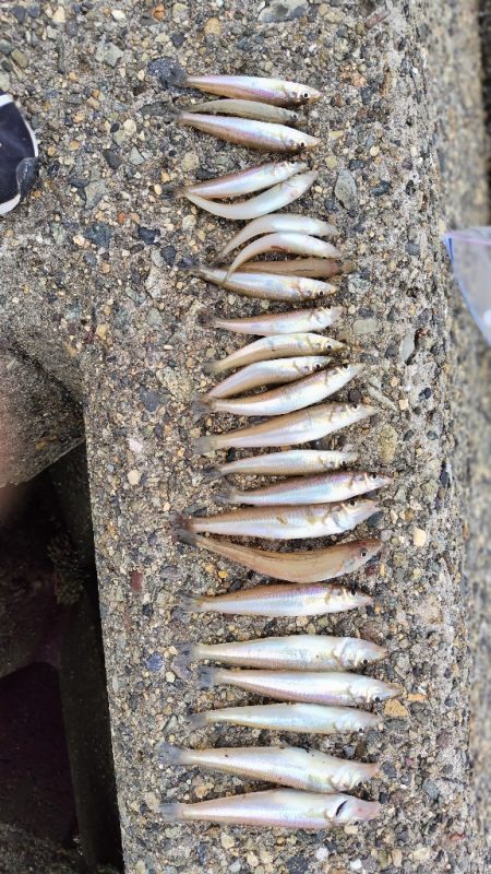 雨の落ちないうちに