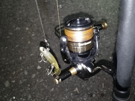 ベイトはイナっ子