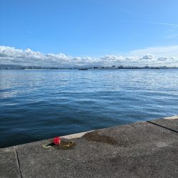 久々に武庫川一文字