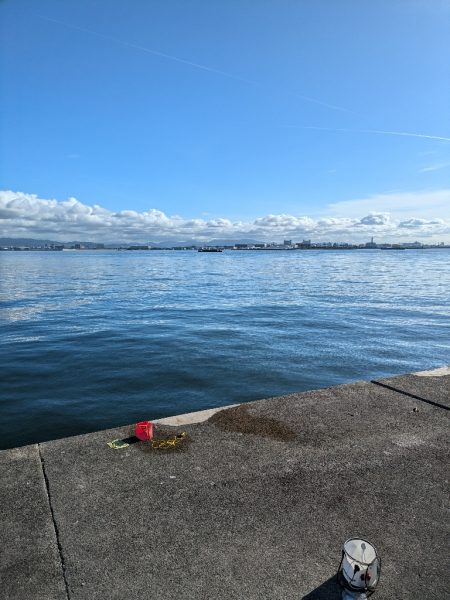 久々に武庫川一文字