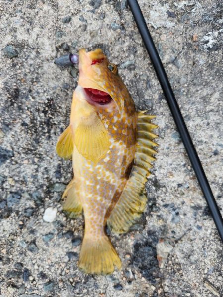 久しぶりの遠征