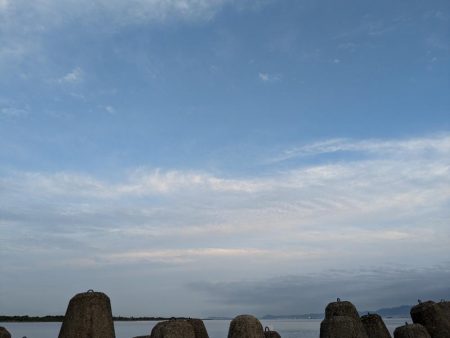 お寝坊フィッシング