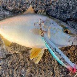 ライトショアジギング