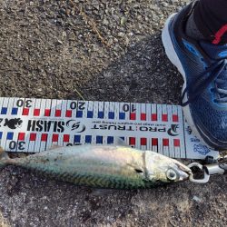 毎度アカン日に、、、