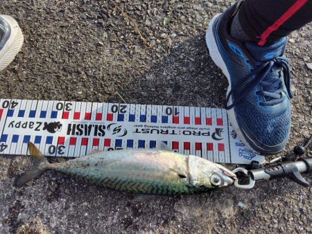 毎度アカン日に、、、