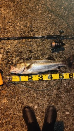 夜の海も暑かった。