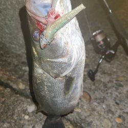 お持ち帰りならず