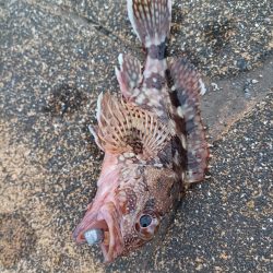 久しぶりの釣行