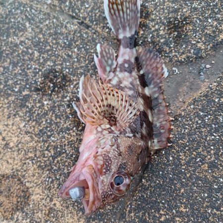 久しぶりの釣行