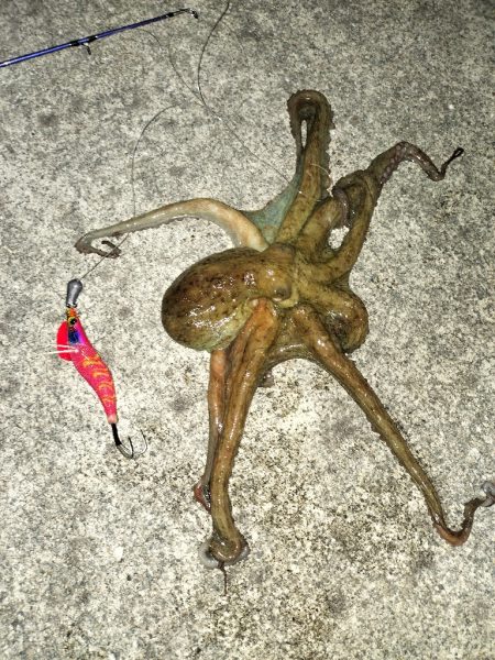 オクトパッシング③