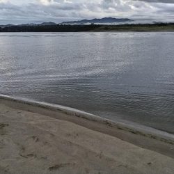 短時間釣行でヒラフッコ！