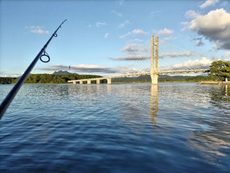 キビレ釣れました。