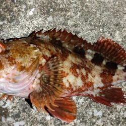 リベンジアジング