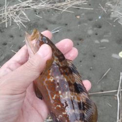 雷雨の前のキス釣り