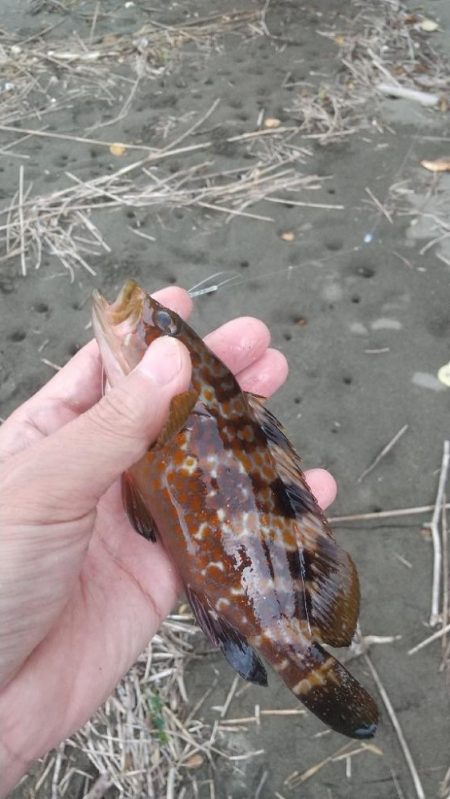雷雨の前のキス釣り