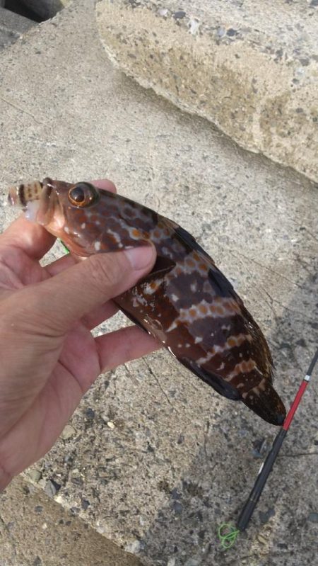 チャリコ湧いてる