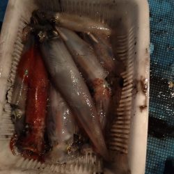 大雨明けの小雨