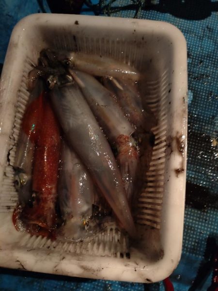 大雨明けの小雨