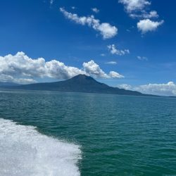 今年も行ってきました、鹿児島錦江湾のテンヤマダイ