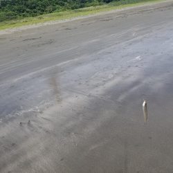 久し振りの投稿