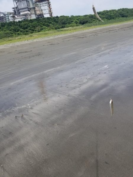 久し振りの投稿