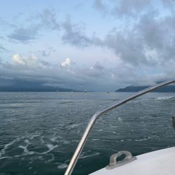 恒例の大会に参加してきました