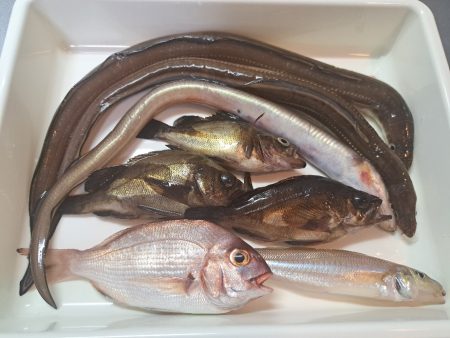 夜でも暑くなってきました