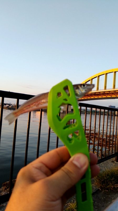 アタリが楽しいキス釣り