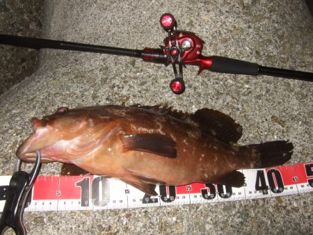 今シーズンベスト