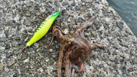 渋くても釣れるんです。