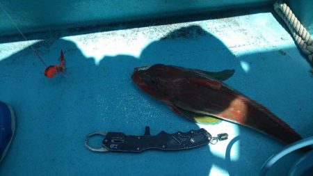 久々のオフショア