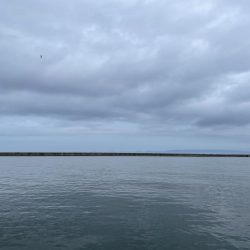 タコ　ランガン