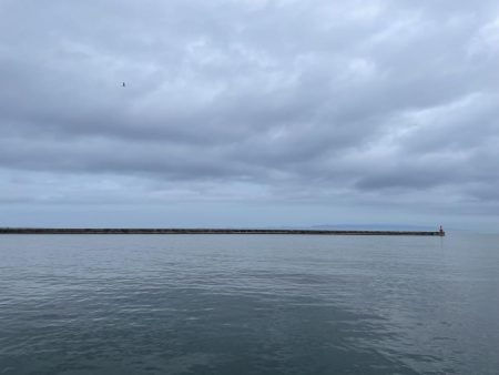 タコ　ランガン