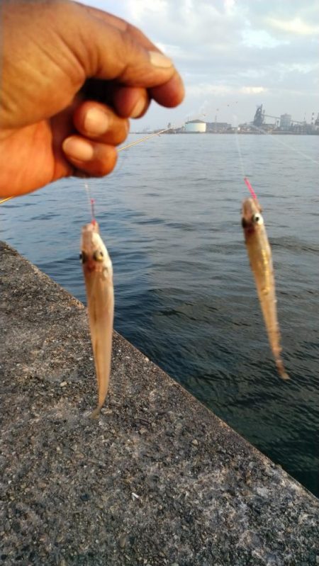 播磨新島釣行１９