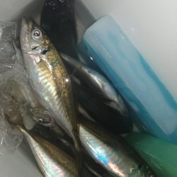 まずまずの反応