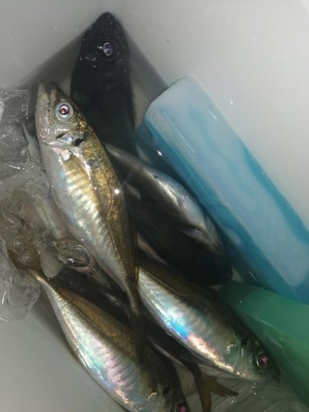 まずまずの反応