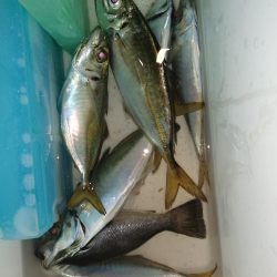 時合も短時間に