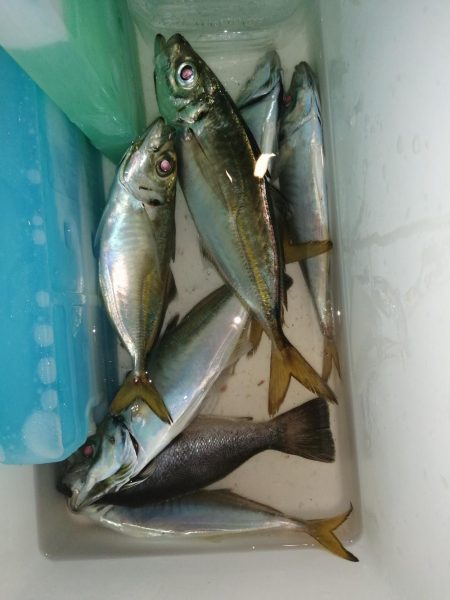 時合も短時間に