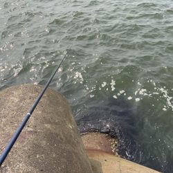 雨の後の川濁り
