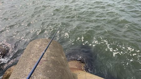 雨の後の川濁り